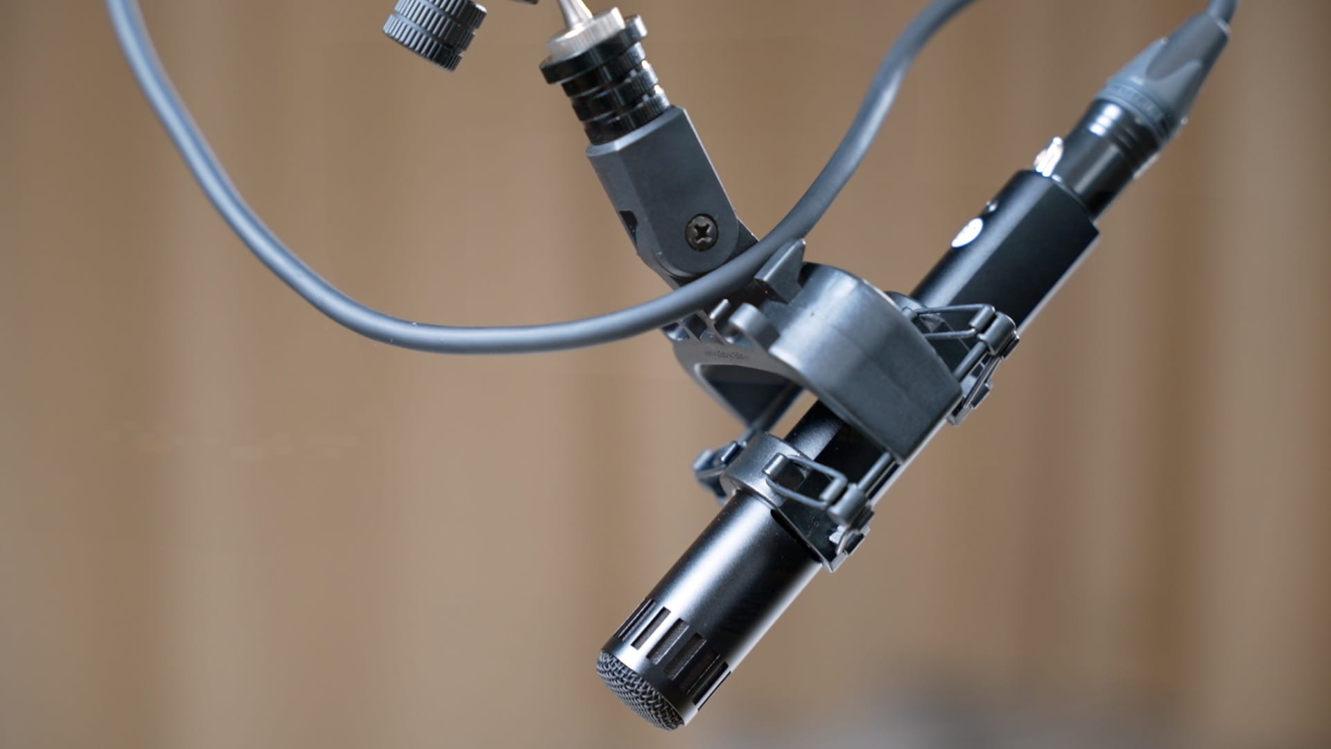 Professional microphone setup